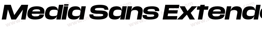 Media Sans Extended Bold字体转换